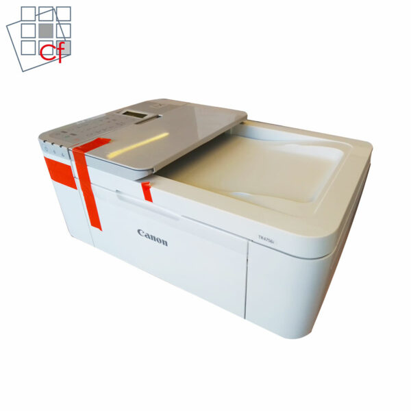 Multifunzione Canon PIXMA TR4756I con buoni